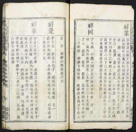 湖北王氏族谱-团溪王氏民分宗谱.pdf电子版预览图4