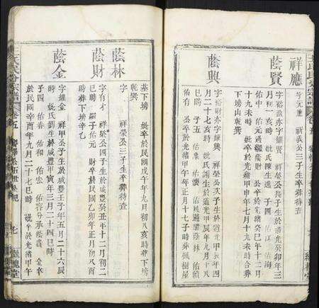 湖北王氏族谱-团溪王氏民分宗谱.pdf电子版预览图5