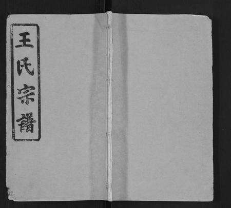 湖北王氏族谱-王氏五修竹林宗谱.pdf电子版缩略图