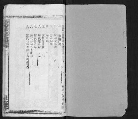湖北王氏族谱-王氏五修竹林宗谱.pdf电子版预览图1