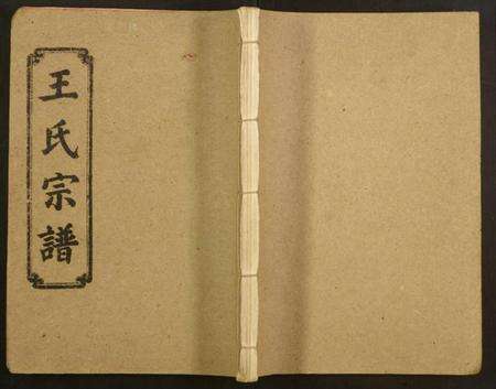 湖北王氏族谱-王氏八修宗谱.pdf电子版缩略图