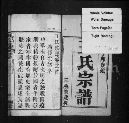 湖北王氏族谱-王氏宗谱.pdf电子版预览图2