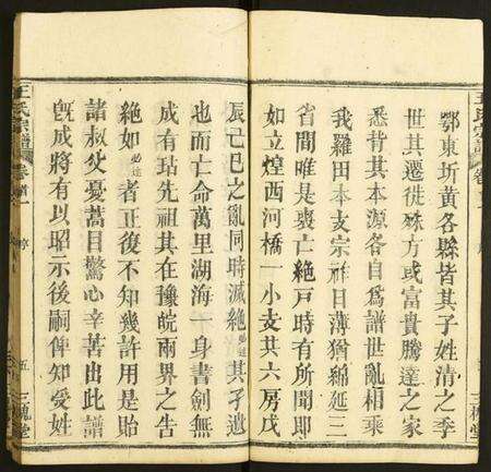 湖北王氏族谱-王氏宗谱.pdf电子版预览图5