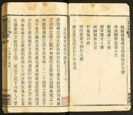 湖北王氏族谱-王氏宗谱.pdf电子版预览图2