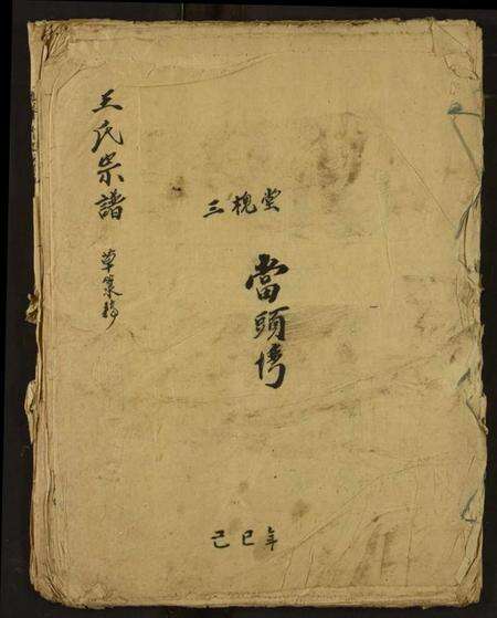 湖北王氏族谱-王氏宗谱.pdf电子版缩略图
