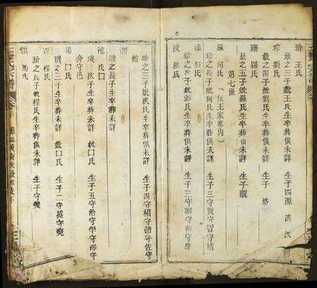 湖北王氏族谱-王氏宗谱.pdf电子版预览图1
