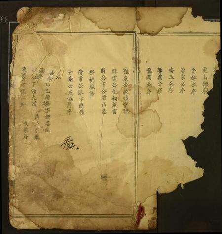 湖北王氏族谱-王氏宗谱.pdf电子版预览图3