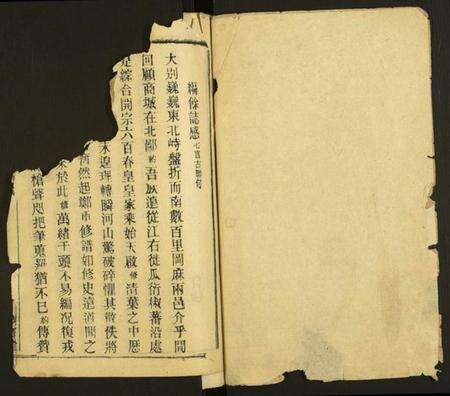 湖北王氏族谱-王氏宗谱.pdf电子版预览图1