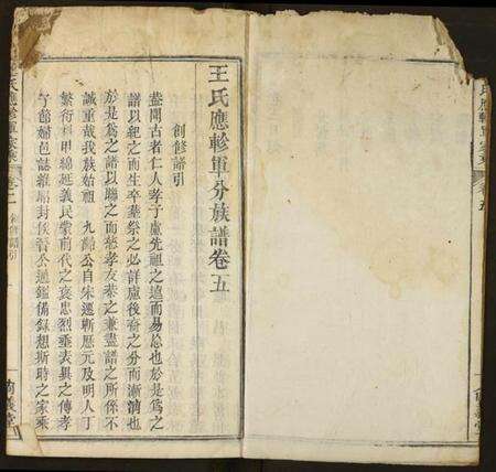 湖北王氏族谱-王氏应轸军家乘.pdf电子版预览图2
