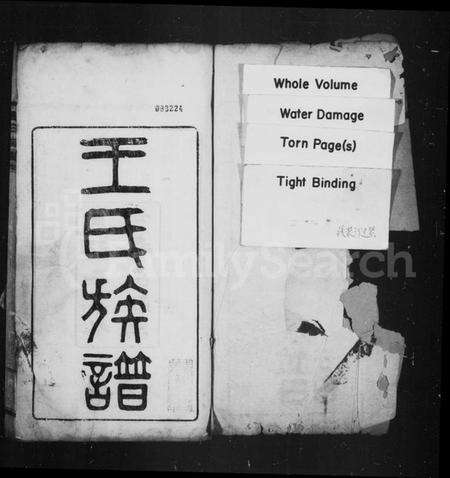湖北王氏族谱-王氏族谱.pdf电子版预览图1
