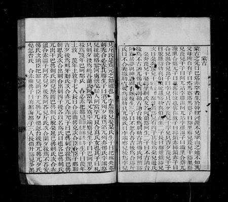 中国未知族谱-元史氏族表 [3卷].pdf电子版预览图3