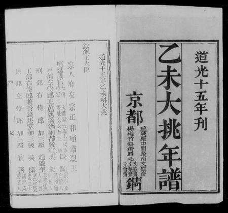 中国未知族谱-大桃年谱.pdf电子版预览图4