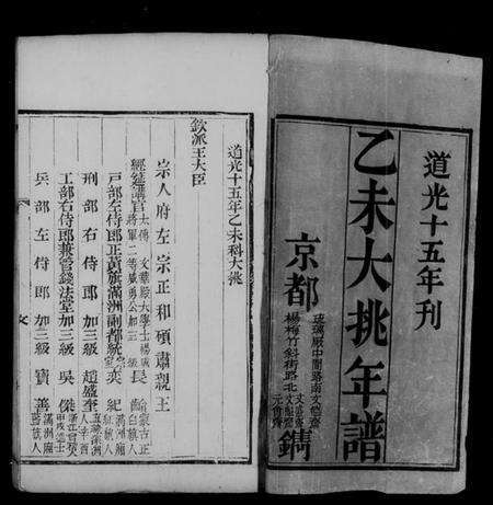中国未知族谱-大桃年谱.pdf电子版预览图5