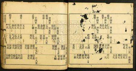 中国未知族谱-[姓氏不详]族谱.pdf电子版预览图2