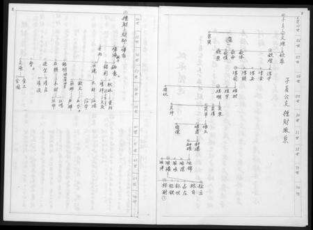 中国未知族谱-子员公支标财世系家谱.pdf电子版预览图2