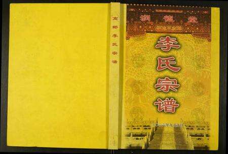 江苏未知族谱-李氏宗谱.pdf电子版缩略图