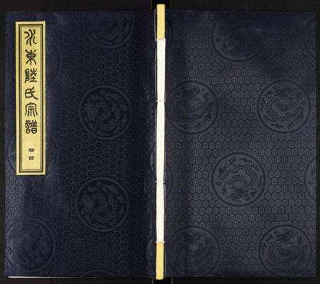 江苏未知族谱-水东陆氏宗谱.pdf电子版缩略图