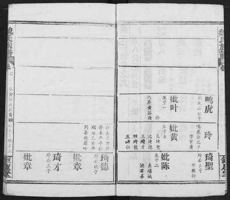 湖北魏氏族谱-魏氏宗谱.pdf电子版预览图2