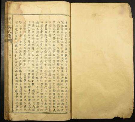 中国吴氏族谱-桐岗吴氏谱.pdf电子版预览图2