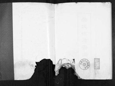 江苏吴氏族谱-吴氏徐沛宗谱.pdf电子版预览图1