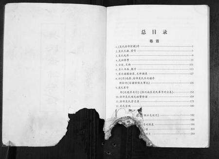 江苏吴氏族谱-吴氏徐沛宗谱.pdf电子版预览图3