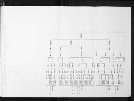 湖北吴氏族谱-吴氏宗谱.pdf电子版预览图3