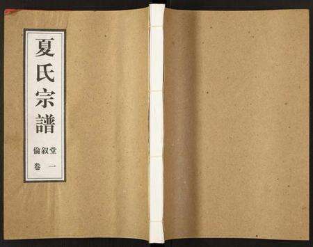 江苏夏氏族谱-夏氏宗谱.pdf电子版缩略图