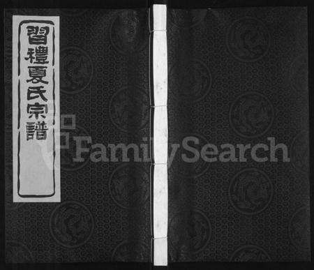 江苏夏氏族谱-习礼夏氏宗谱 [63卷,首1卷].pdf电子版缩略图