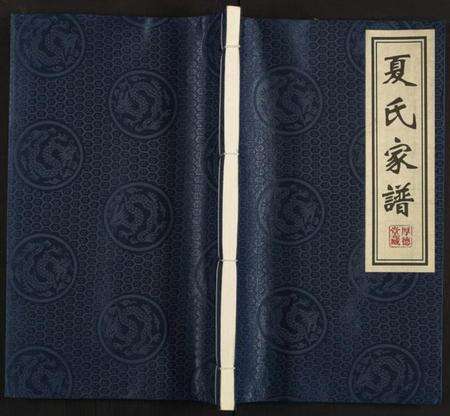 江苏夏氏族谱-夏氏家谱 [全1册].pdf电子版缩略图