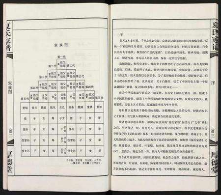 江苏夏氏族谱-夏氏家谱 [全1册].pdf电子版预览图4