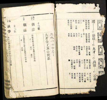 湖北夏氏族谱-夏氏宗谱.pdf电子版预览图2