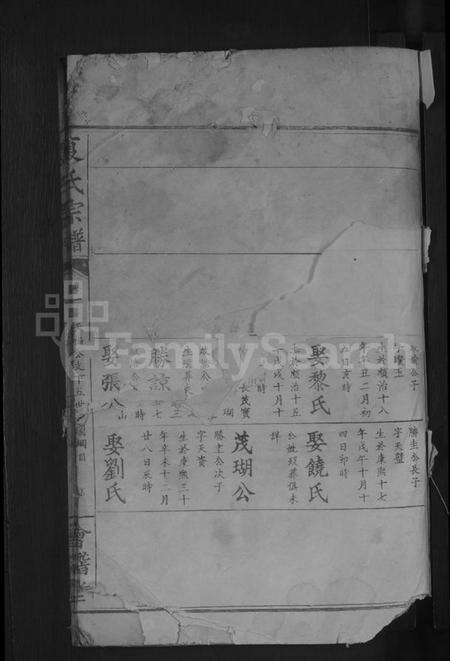 湖北夏氏族谱-夏氏宗谱[总卷数不详].pdf电子版预览图3