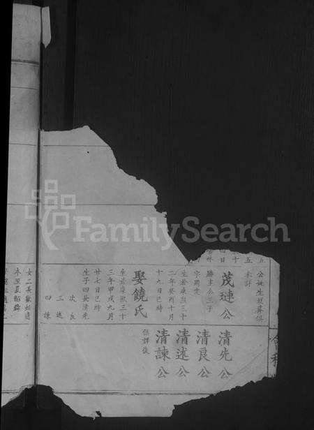 湖北夏氏族谱-夏氏宗谱[总卷数不详].pdf电子版预览图4