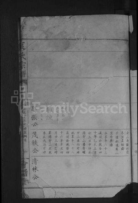 湖北夏氏族谱-夏氏宗谱[总卷数不详].pdf电子版预览图5