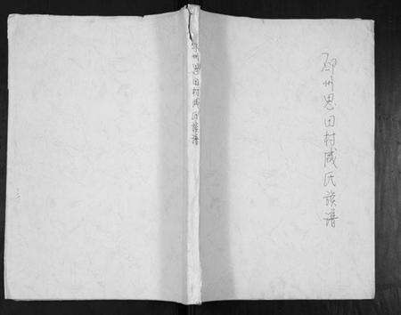 江苏咸氏族谱-邳州思田村咸氏族谱.pdf电子版