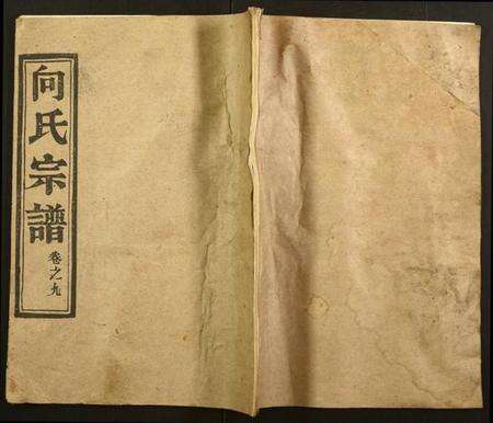 湖北向氏族谱-向氏宗谱.pdf电子版缩略图