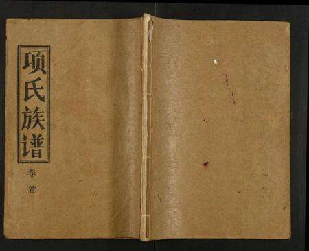 湖北项氏族谱-项氏族谱.pdf电子版缩略图