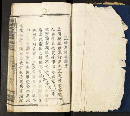 中国萧氏族谱-龙泉沿溪萧氏族谱.pdf电子版预览图2