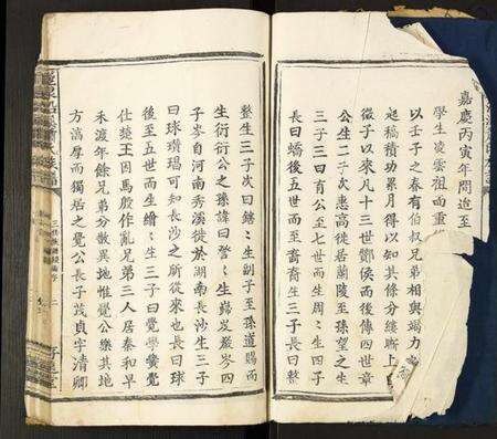 中国萧氏族谱-龙泉沿溪萧氏族谱.pdf电子版预览图3