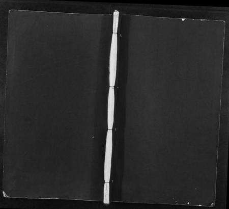 江苏谢氏族谱-谢氏族谱.pdf电子版缩略图