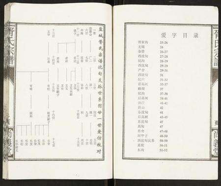 江苏胥氏族谱-盐城胥氏宗谱.pdf电子版预览图2