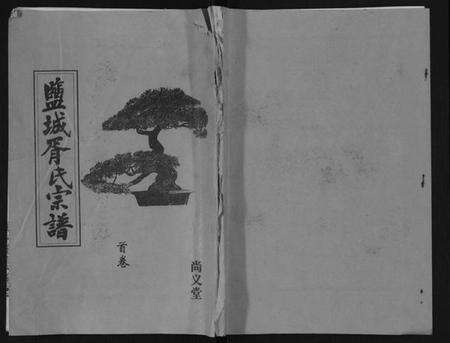 江苏胥氏族谱-盐城胥氏宗谱[6卷,首1卷].pdf电子版缩略图