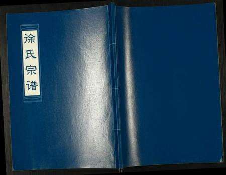 江苏徐氏族谱-徐氏宗谱.pdf电子版缩略图