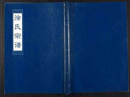 江苏徐氏族谱-徐氏宗谱[不分卷].pdf电子版缩略图