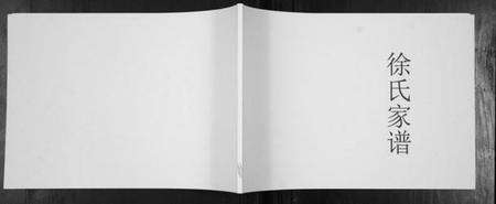 湖北徐氏族谱-徐氏家谱.pdf电子版缩略图