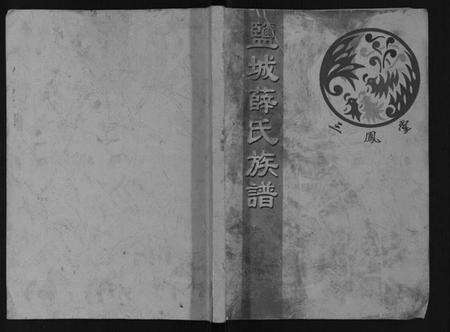 江苏薛氏族谱-盐城薛氏族谱.pdf电子版缩略图