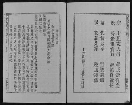 湖北薛氏族谱-薛氏族谱[不分卷].pdf电子版预览图2