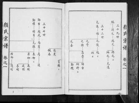 江苏颜氏族谱-颜氏宗谱[2卷].pdf电子版预览图5