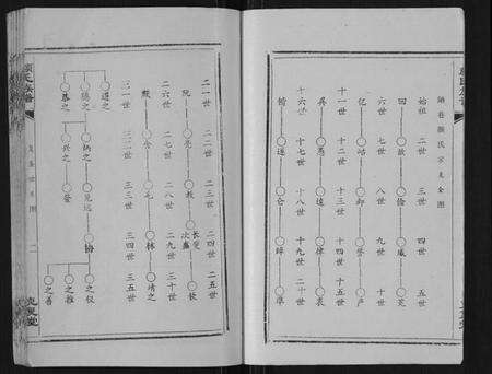 湖北颜氏族谱-颜氏族谱[不分卷].pdf电子版预览图5