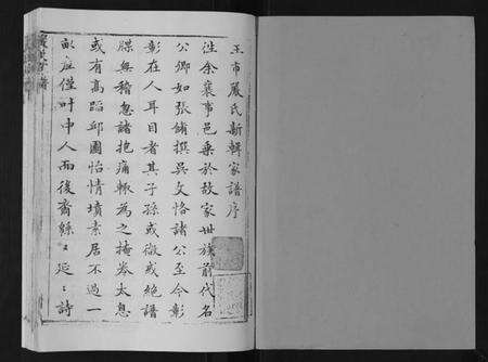 江苏严氏族谱-严氏家谱[不分卷].pdf电子版预览图1